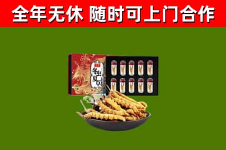 梅里斯回收冬虫夏草价格