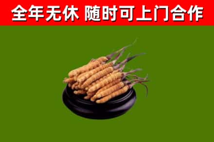 梅里斯烟酒回收冬虫夏草.jpg