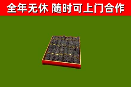 梅里斯回收海参